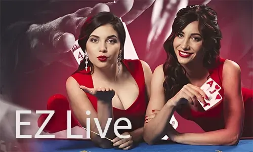 Winzir Live Casino